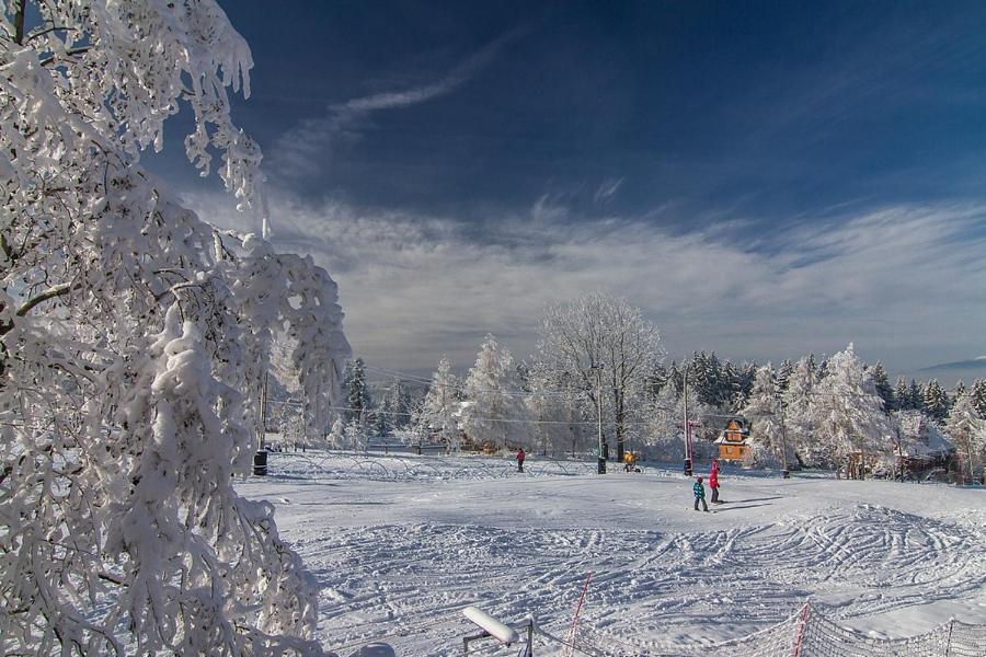Willa Pod Niebem Zakopane Esterno foto